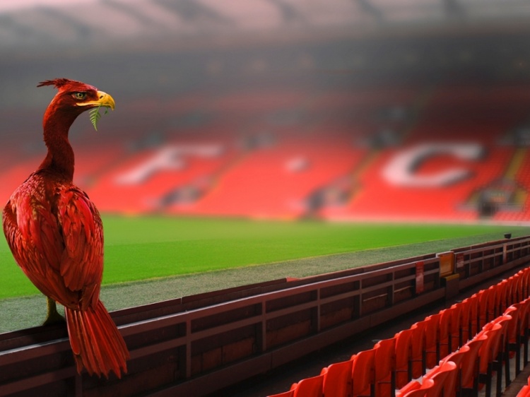 Foto Verslag: Liverpool fc - West Ham United